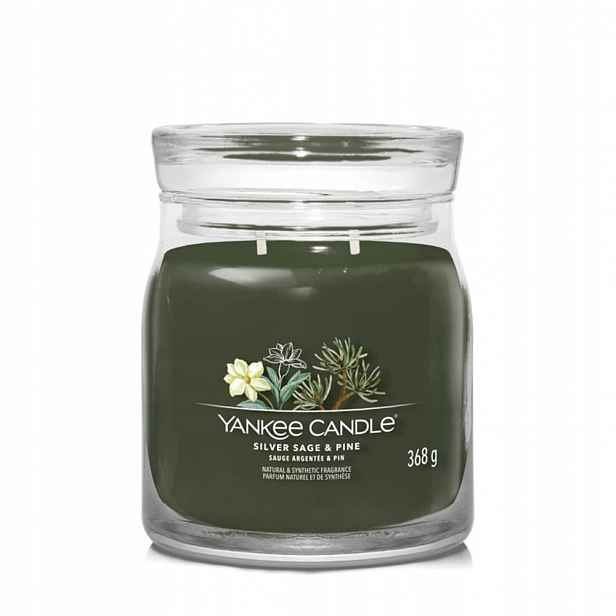 Yankee Candle Silver Sage Pine svíčka střední velikosti