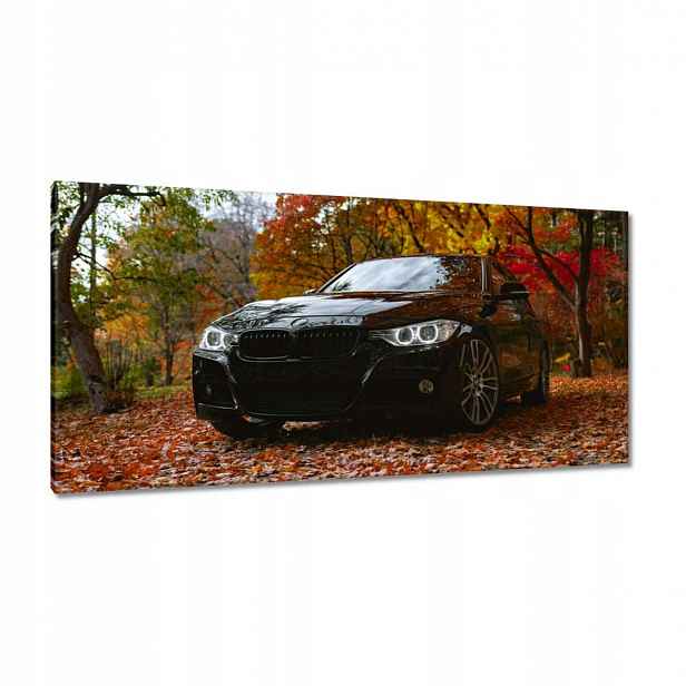 Obrazy 115x55 Černé Bmw Podzim