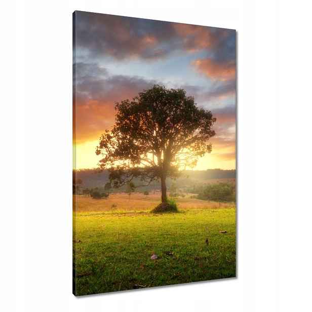 Obrazy 60x90 Kouzelná krajina