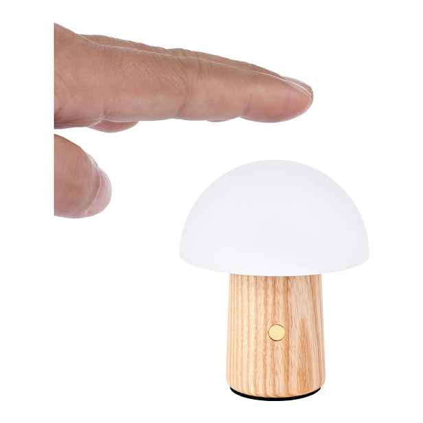 LED stmívatelná stolní lampa z jasanového dřeva v přírodní barvě (výška 7 cm) Alice – Gingko