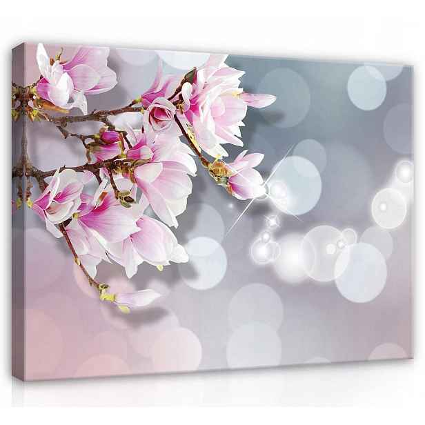 Obraz Na Plátně Canvas 80x60 Magnolie Květina