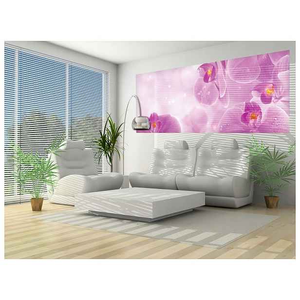 Vliesová fototapeta Růžové orchideje, jemnost květin 250x104 lepidlo