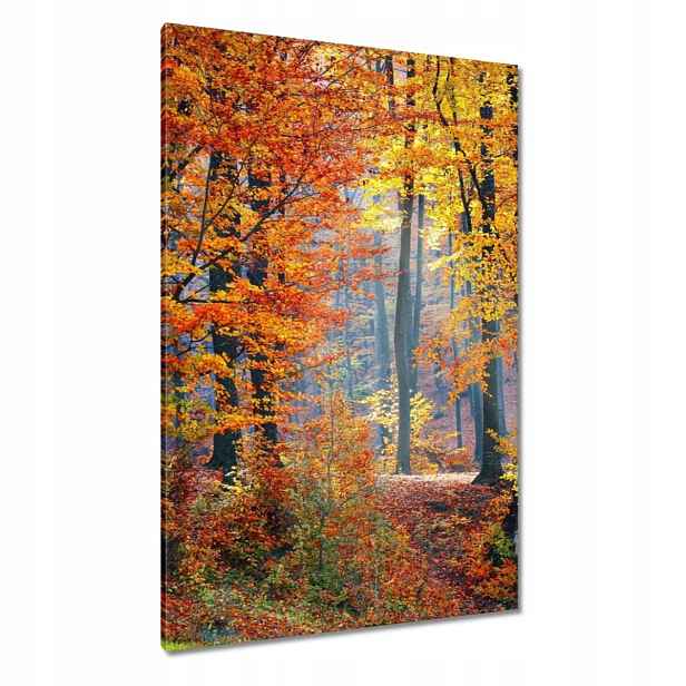 Obrazy 80x120 Zlatý podzim