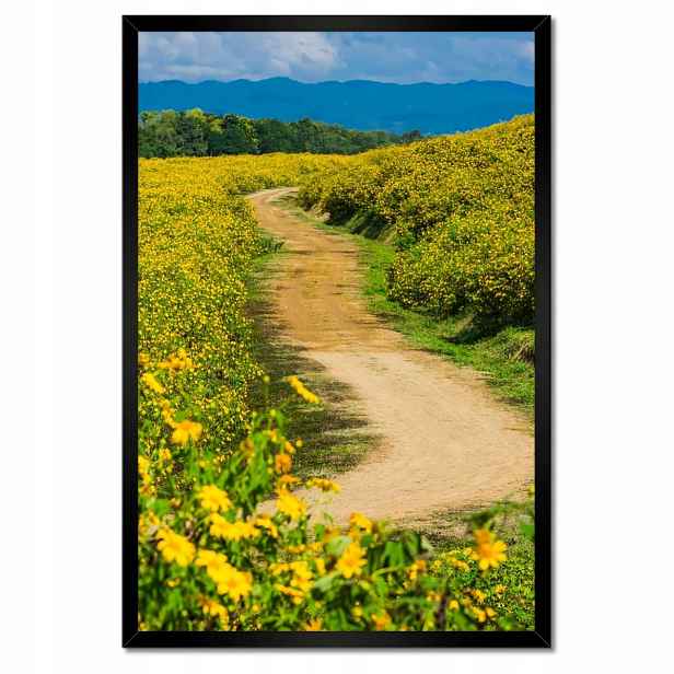 Plakáty v rámu 40x60 Venkovská mléčná cesta