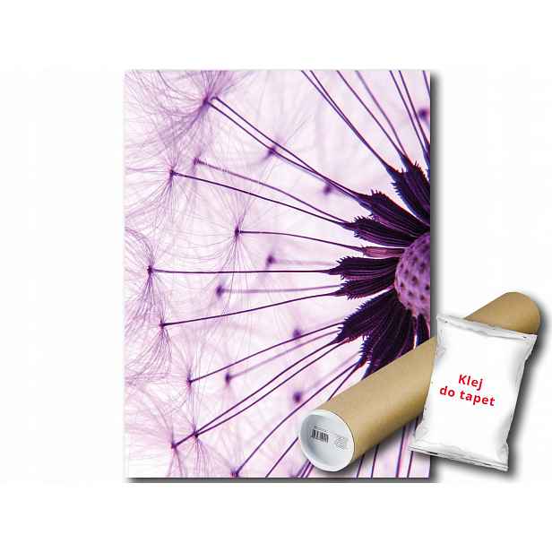 Fototapeta Pampeliška 9A Panxl 206x275 F1025