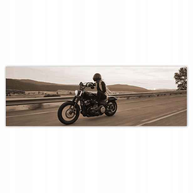 Plakáty 200x66 Harley Davidson Motocykl