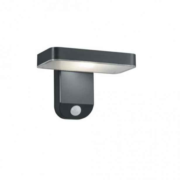 Reality Esquel led nástěnná lampa antracit r22261142 RER22261142