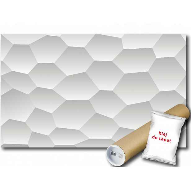 3D Fototapeta S Texturou 10A V4 254x184 F2953