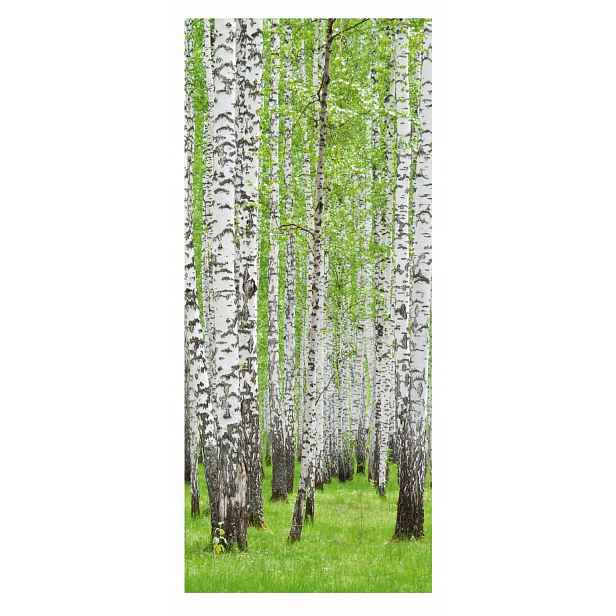 Fototapeta samolepicí dýha na dveře, samolepka