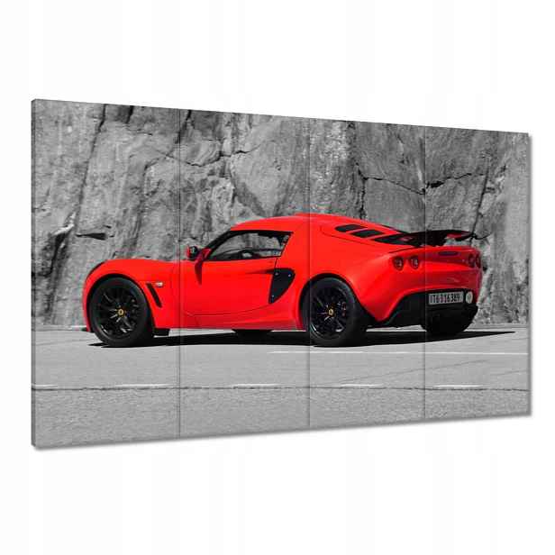 Obrazy 120x80 Červený Lotus
