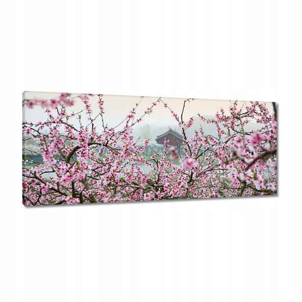 Obrazy 100x40 Japonsko Orient Buddhismus