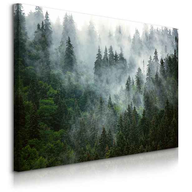 Muralo OBRAZ NA PLÁTNĚ Les v Mlze Krajina 3D 100x70