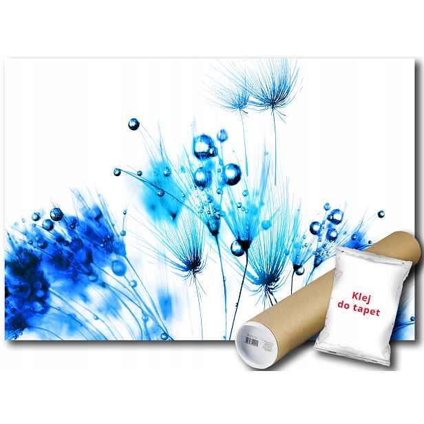 Fototapeta Pampeliška 9A V8 368x254 F258