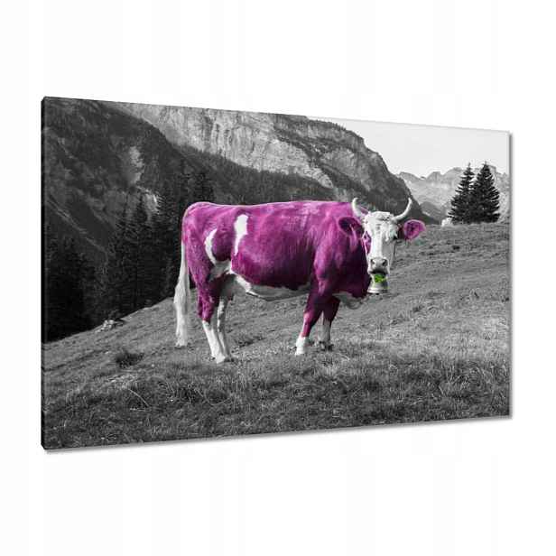 Obrazy 120x80 Fialová kráva Emilka