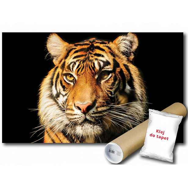 Fototapeta Tygr 12C V4 254x184 F1964