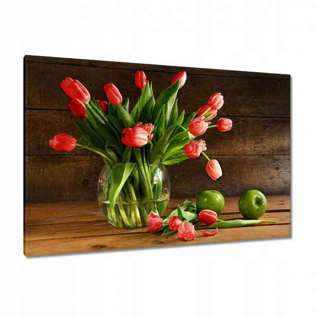 Obrazy 120x80 Červené tulipány