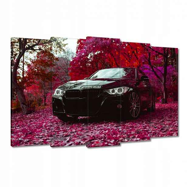 Obrazy 150x95 Černé Bmw Podzim
