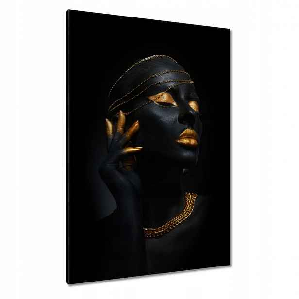 Obrazy 70x100 Zlatá aparace