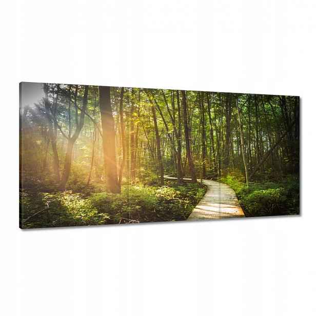 Obrazy 120x60 Sluníčko na procházce