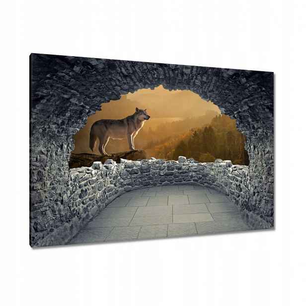 Obrazy 120x80 Vlk na svahu
