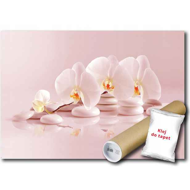 Fototapeta Orchidej Spa 25A V8 368x254 F11406