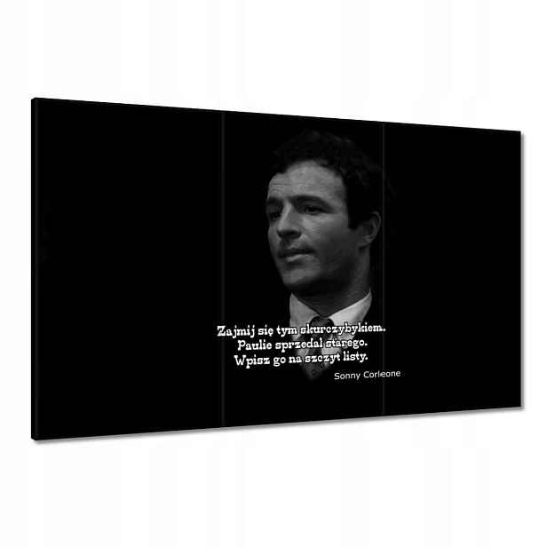 Obrazy 120x80 Godfather Sonny Citáty