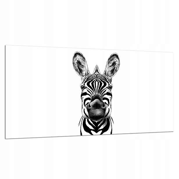 7v1 Skleněná Ochranná Deska Na Sporák 90X52 Zebra