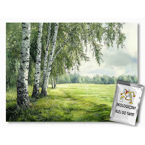 Fototapeta Flizelina Krajina Pohled Na Les Stromy Bříza Louka 300x210 110g