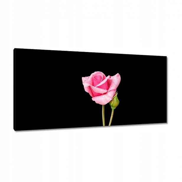Obrazy 115x55 Pupen růžové růže