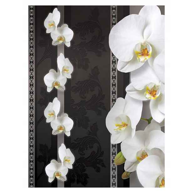 Fototapeta Orchideje bílé tmavé pozadí vinylová 184x254 lepidlo