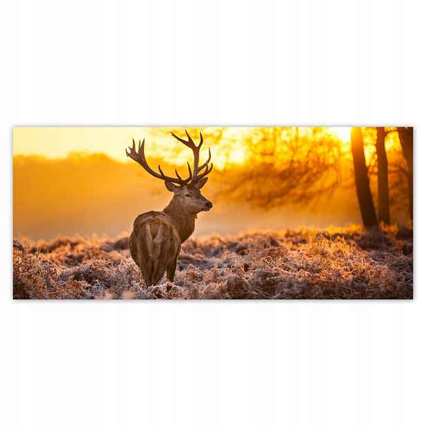 Fototapety flizelina 211x91 Jelen při západu