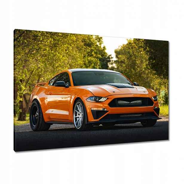 Obrazy 100x70 Oranžové auto