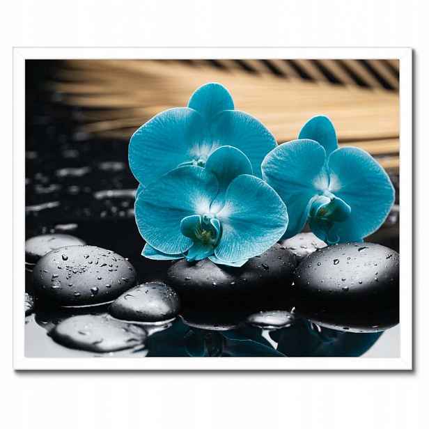 Plakáty v rámu 50x40 Tyrkysový orchidej Květina