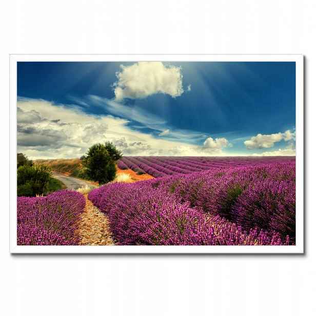Plakáty v rámu 60x40 Levandulová krajina