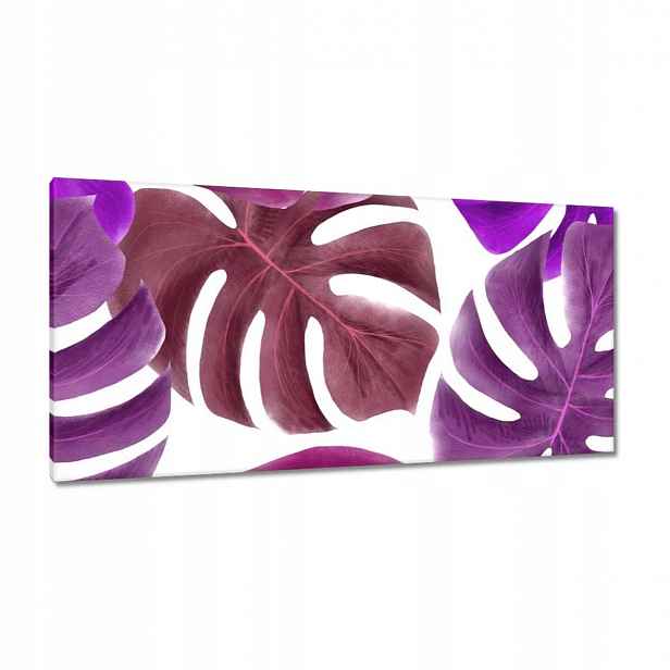 Obrazy 115x55 Monstera Listy Fialová