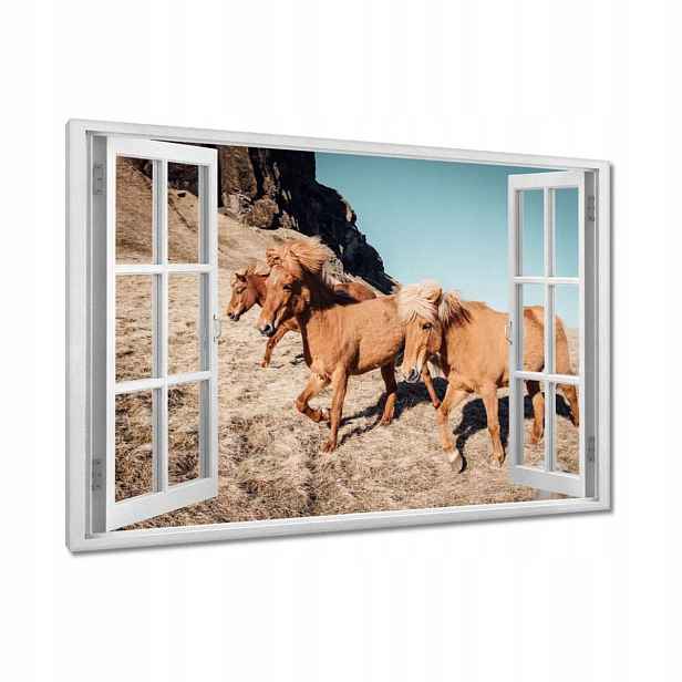 Obrazy 90x60 Kůň Jezdectví