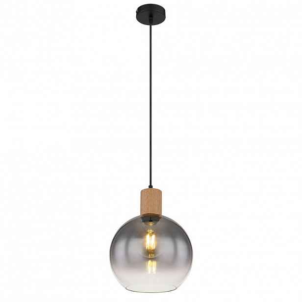 Globo ZÁVĚSNÉ SVÍTIDLO, 25/120 cm