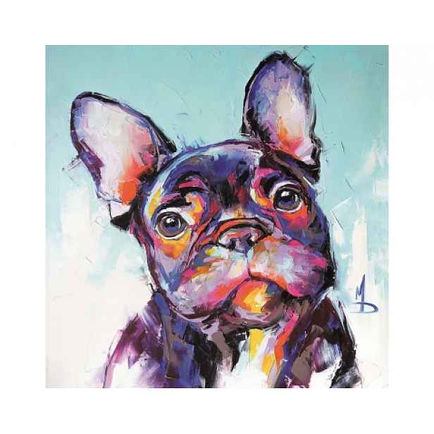 Obraz na plátně Francouzský buldoček, 35x35 cm, efekt ruční malby