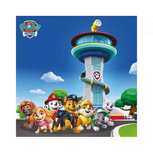 Dětský obraz Paw Patrol velká parta, 35x35 cm