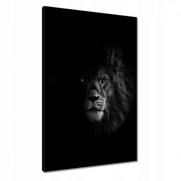 Obrazy 60x90 Lev ve stínu Král