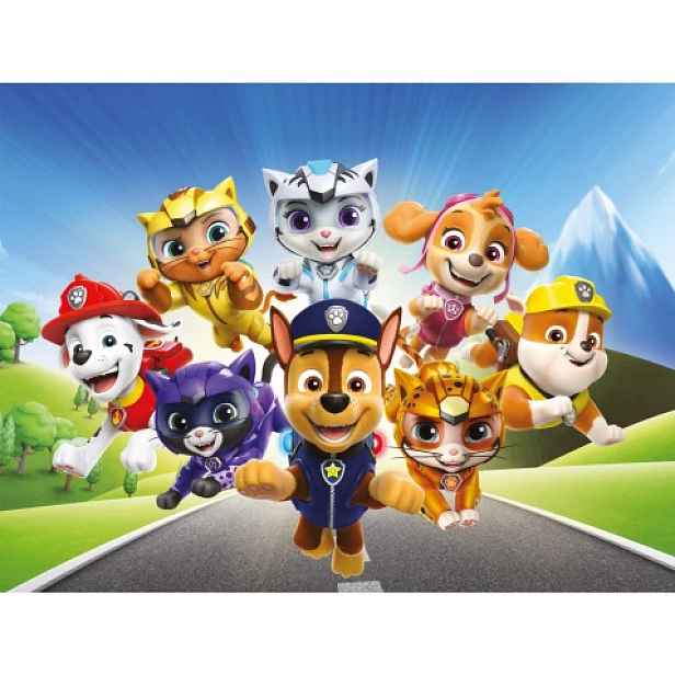 Dětský obraz Paw Patrol na cestě, 61x46 cm