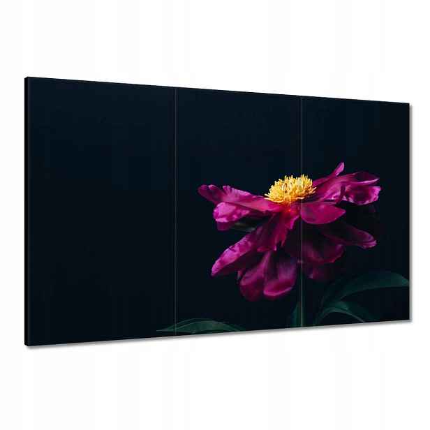 Obrazy 120x80 Krásný růžový květ Astra