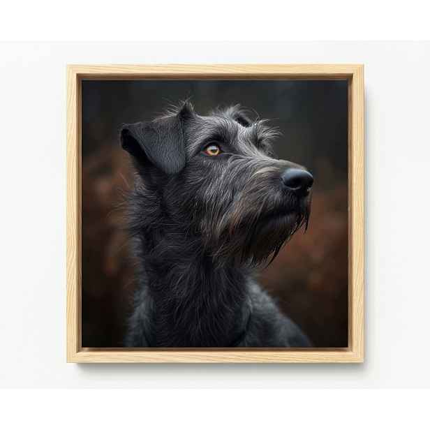 Obraz Rám Americká Krabička Portrét Pes Irský Vlkodlak Wolfhound 50x50
