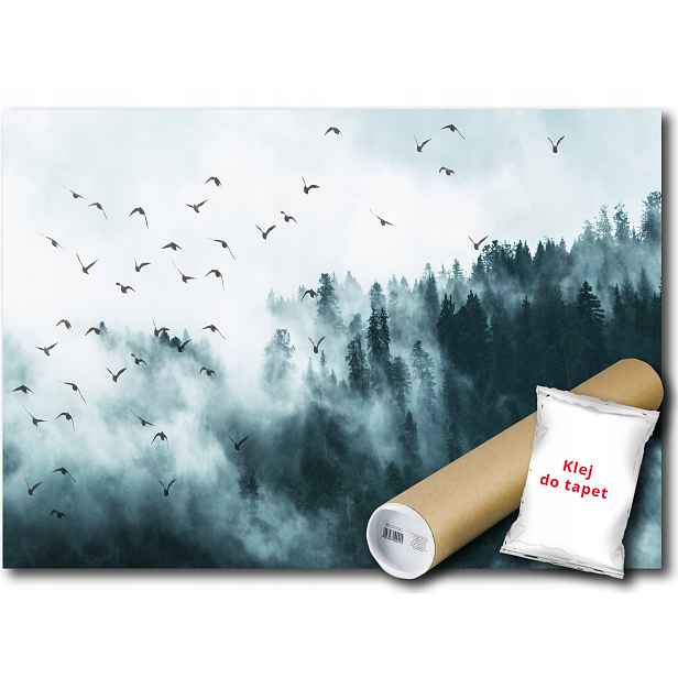 Vinylová Fototapeta Les Mlha Ptáci Pohled 152x104
