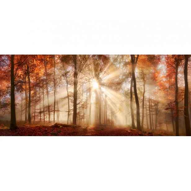 Panoramatický obraz na plátně Podzimní les, 140x60 cm
