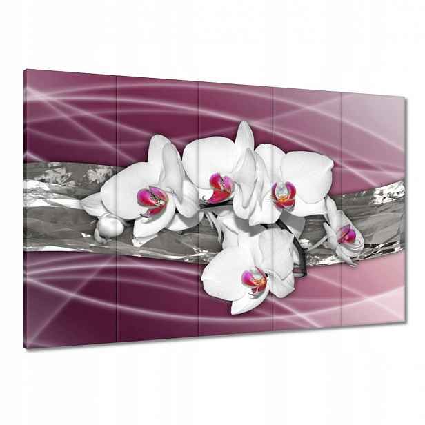 Obrazy 100x70 Bílé orchideje na růžovém pozadí