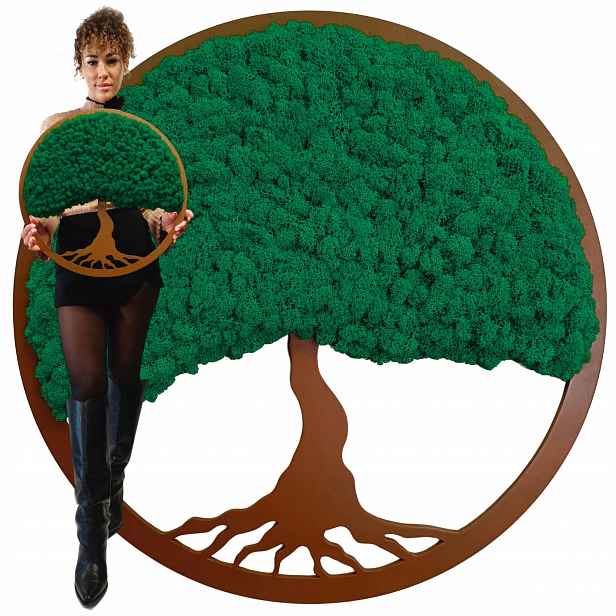 Obraz Mech Chrobotek Stromek Bonsai Obraz Z Mechu Stromek Na Dárek 50 cm