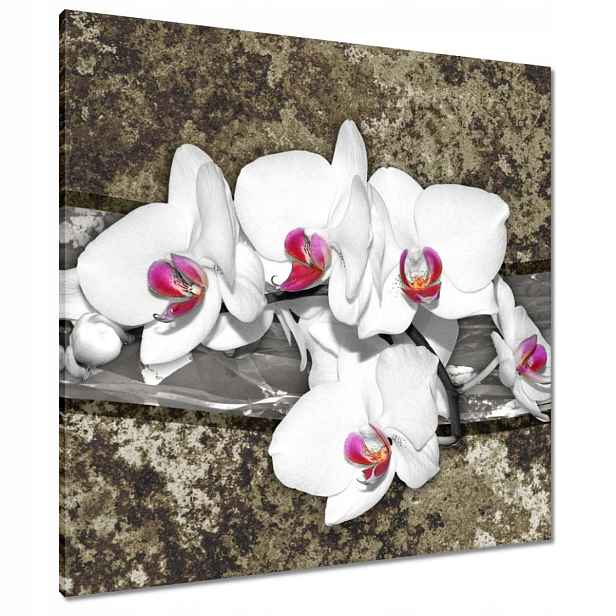 Obrazy 80x80 Bílá Orchidej Mramorové pozadí