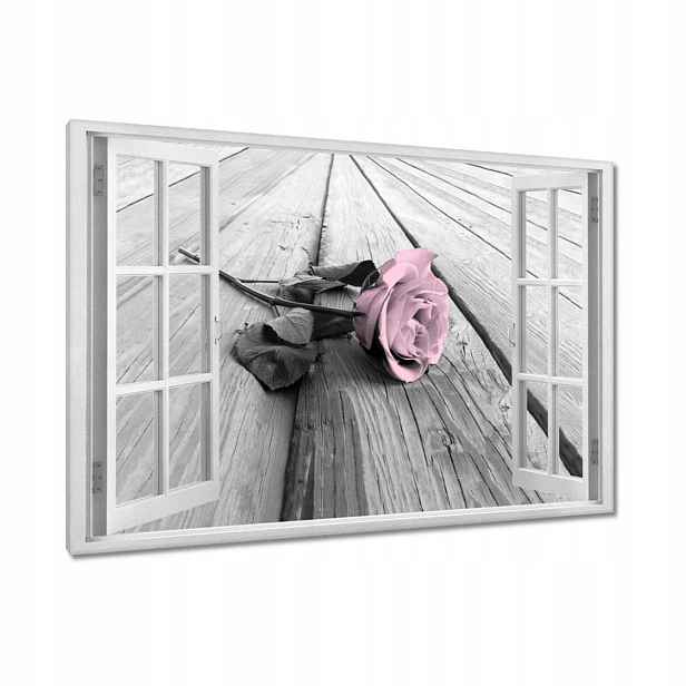 Obrazy 90x60 Pudrová růžová Old pink Rose