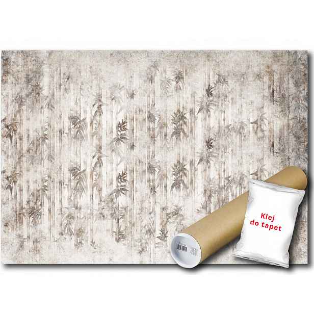 Vinylová Fototapeta Grafika Zeleň Vegetace Bambus Stonky 152x104